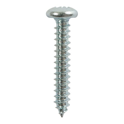 Picture of No. 10 x 1/2" PZ2 Self Tapping Screw (10)
01012CPAZP