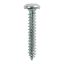 Picture of No. 10 x 5/8" PZ2 Self Tapping Screw (10)
01058CPAZP