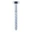 Picture of 10.0 x 150mm Coach Screws DIN 571 - BZP (2)
10150CSCP