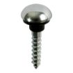 Picture of 4mm x 40mm PZ2 Chrome Mirror Screw Dome (8)
08112CMIRP
