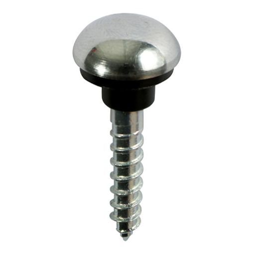 Picture of 4mm x 40mm PZ2 Chrome Mirror Screw Dome (8)
08112CMIRP