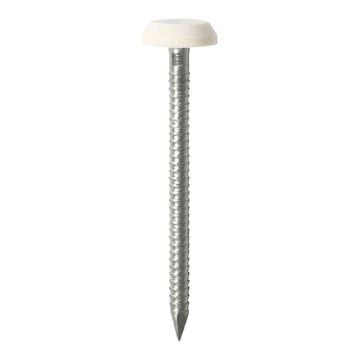Picture of 40mm Polymer Headed Nail - White (100)
PN40W