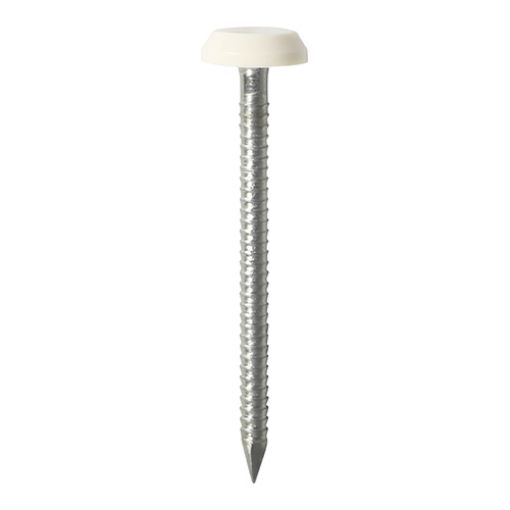 Picture of 40mm Polymer Headed Nail - White (100)
PN40W