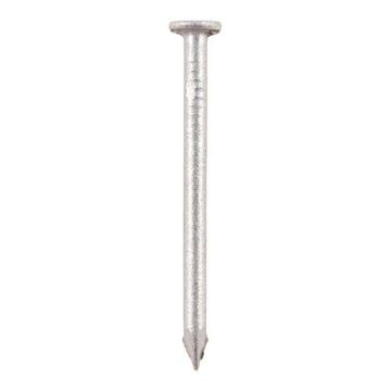 Close-up image of a single galvanised round wire nail with a flat head and pointed tip, shown against a white background.