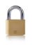Picture of Yale 60mm Brass Padlock
Y110B/60/132/1
