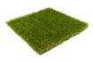 Picture of 30mm Valour Artificial Grass 4m x 25m
(Price/m2)