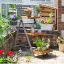 Picture of Alderley Large Plant Ladder  
ALDPLANTL