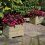 Picture of Marberry Square Planter
PLLY50