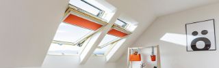 Picture of Fakro 550mm x 780mm White Painted Centre Pivot Window
FTW-V P2 01