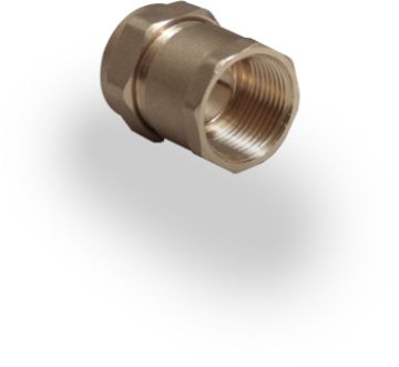 Picture of 22mm x 3/4" Female Iron Compression Coupler
318118