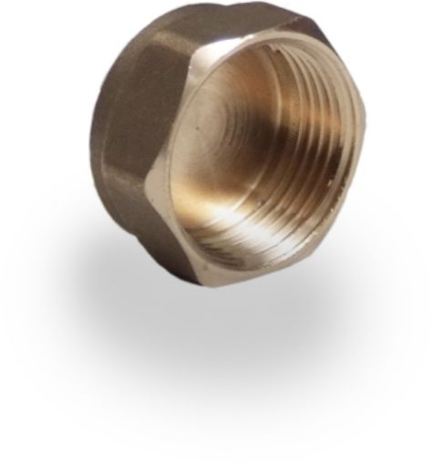 Picture of 3/4" Brass Cap 
348620