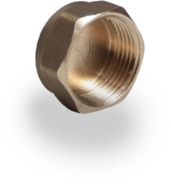 Picture of 1" Brass Cap 
348625