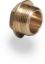 Picture of 1" Flanged Brass Plug 
348225