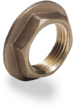 Picture of 1/2" Brass Flanged Backnut 
348905