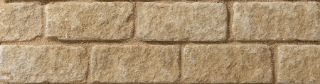 Picture of Bekstone Burford Tumbled Walling Oolite Cream 65mm x 229mm x 102mm
17159088 (415)